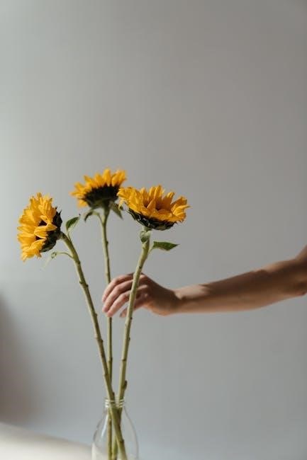 the sunflower on the possibilities and limits of forgiveness pdf